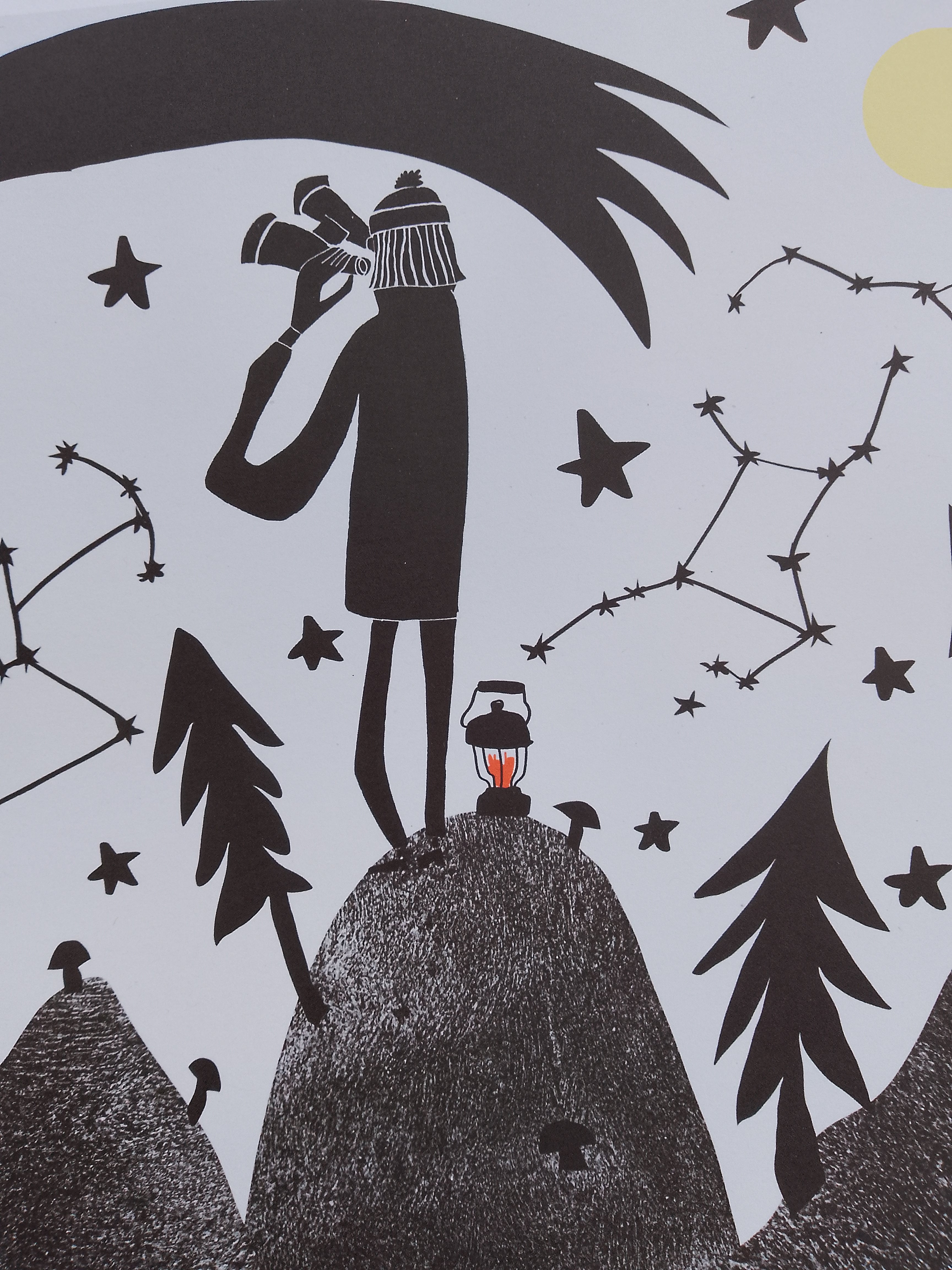 Gower Stargazing Print
