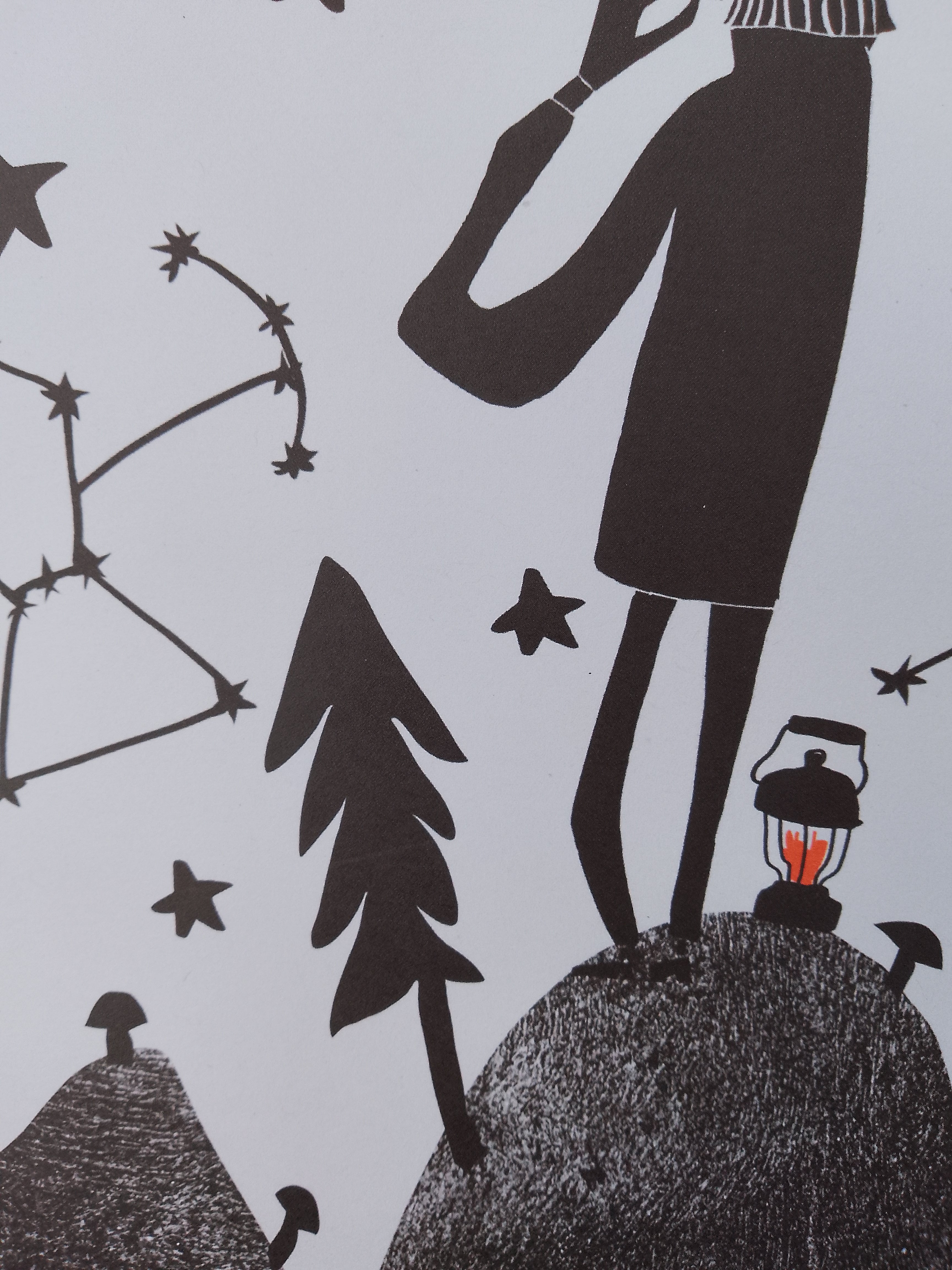 Gower Stargazing Print
