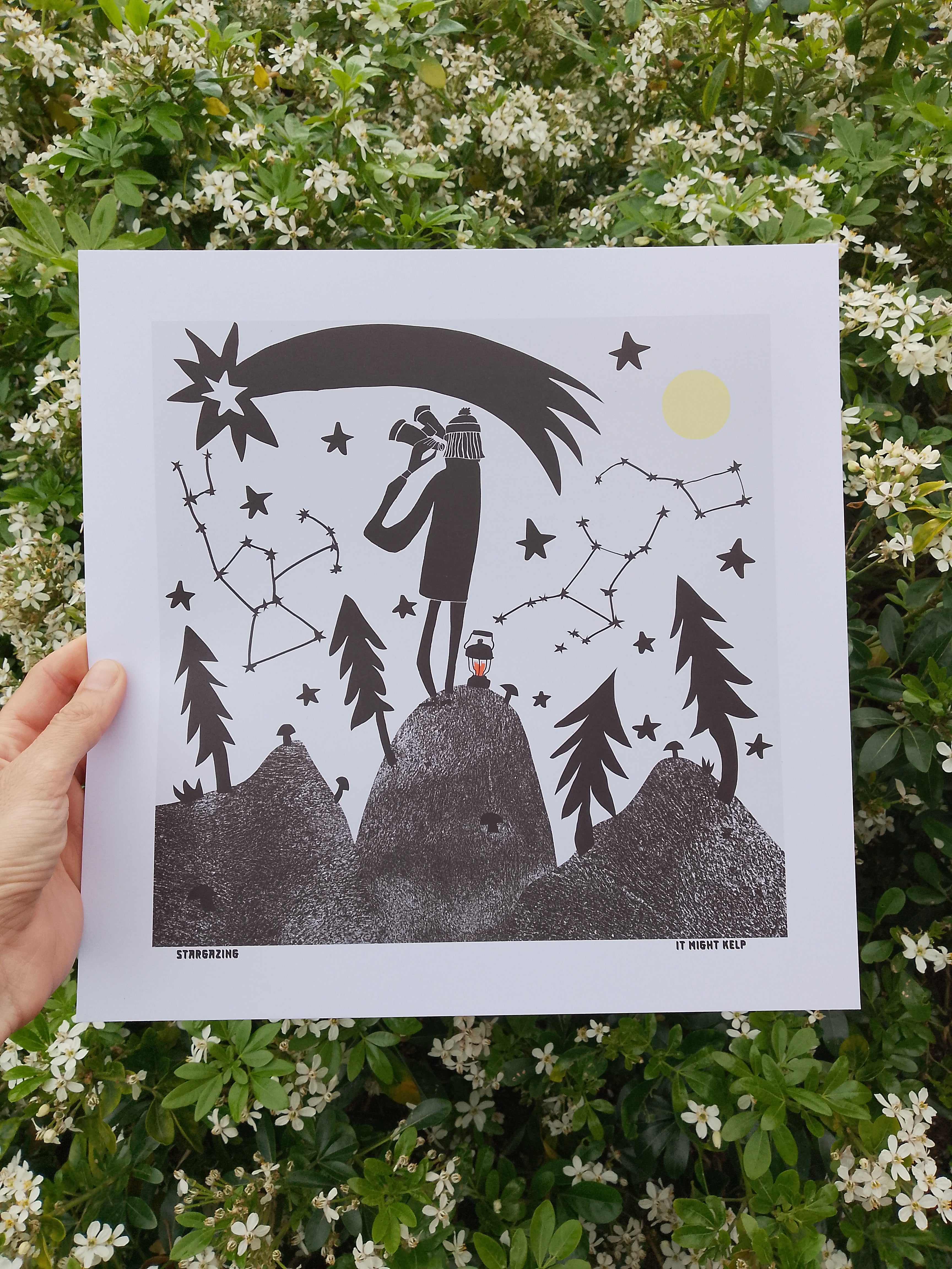 Gower Stargazing Print